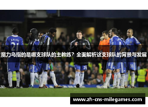 魔力鸟指的是哪支球队的主教练？全面解析这支球队的背景与发展