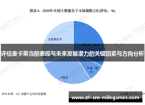 评估麦卡蒂当前表现与未来发展潜力的关键因素与方向分析