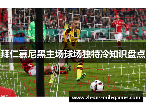 拜仁慕尼黑主场球场独特冷知识盘点